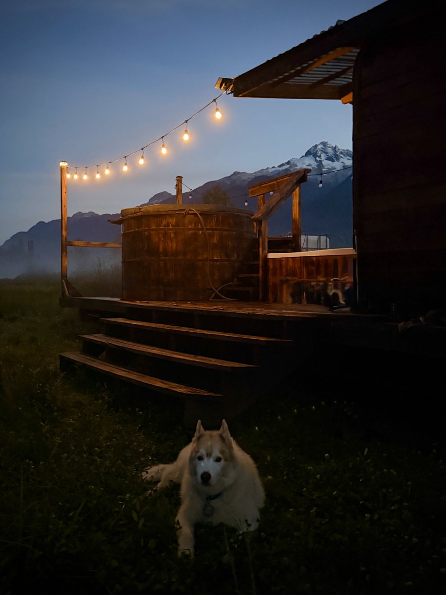 Alpha sauna deck with hot tub and cold plunge under string lights at dusk, husky in the foreground